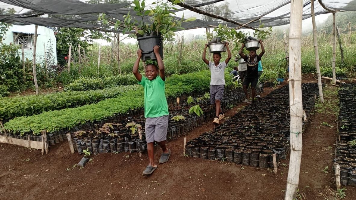 Young people carrying seedling trays through a plant nursery.